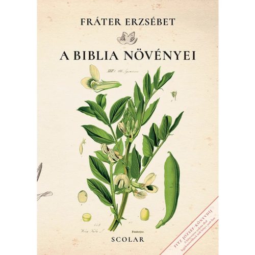 A Biblia növényei